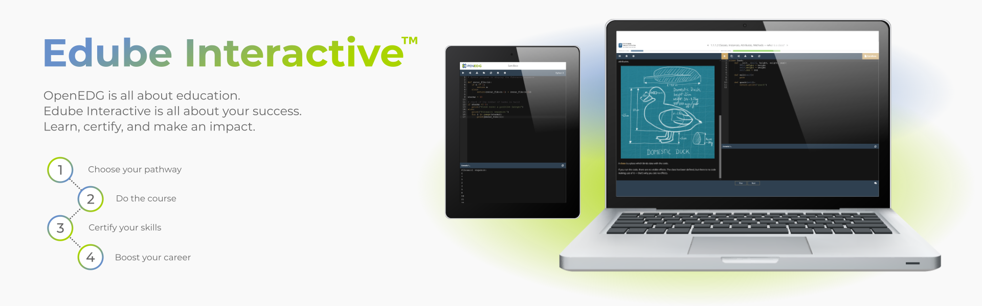 Edube Interactive :: Online Programming Environment