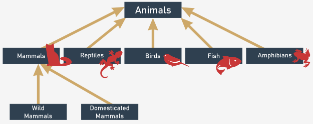 El concepto de jerarquías de clases: animales