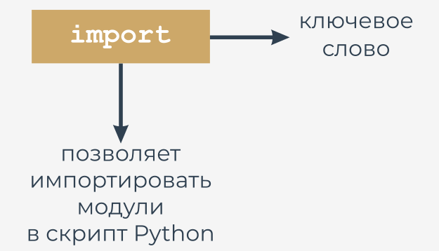 The import keyword