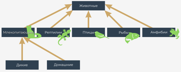 The concept of class hierarchies: animals